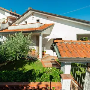 https://bb-il-girasole-ortonovo.it-tuscanyhotel.com
